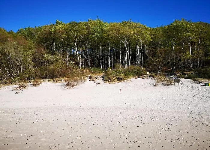 14b Blue Marine Basen Brodziki Plac Zabaw The Of Przy Plaz